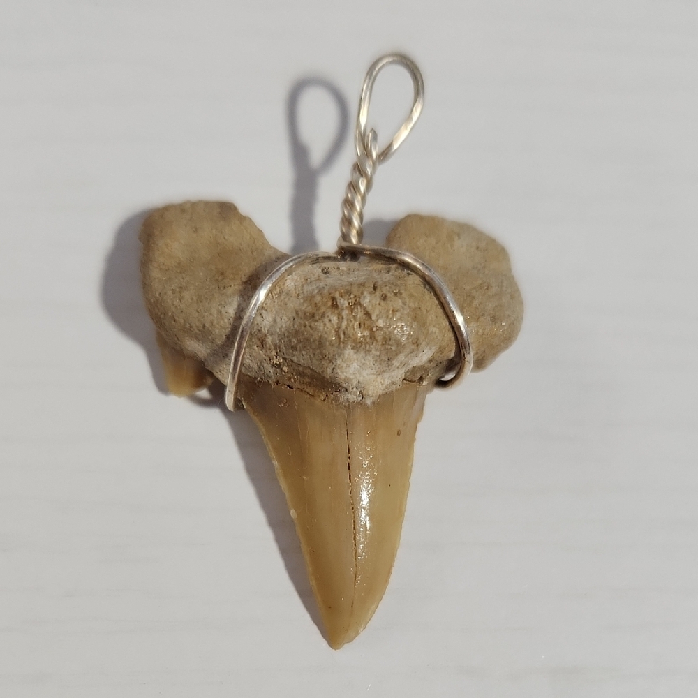 Fossilized Shark Tooth Pendant- Authentic Prehistoric Megaladon Teeth Fossil